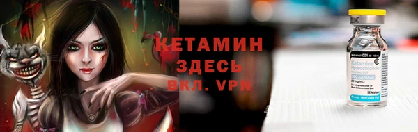 индика Гусиноозёрск