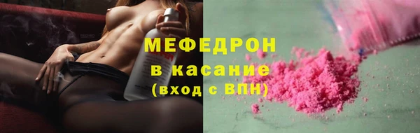индика Гусиноозёрск