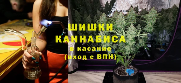 индика Гусиноозёрск