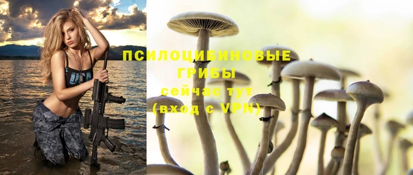 гидропоника Гусев